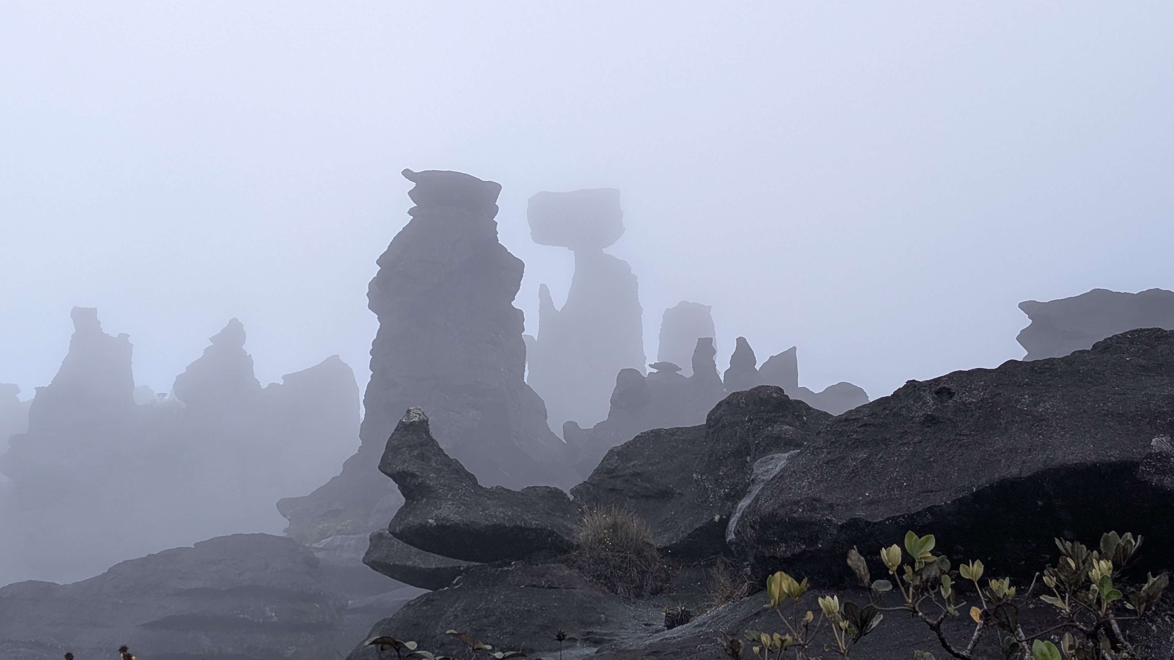 Up in the mist on Mount Roraima.