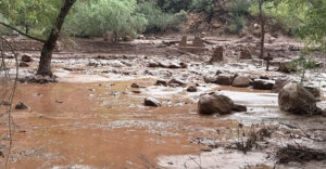 flooded area