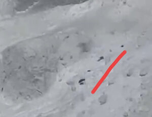 black figures in the snow