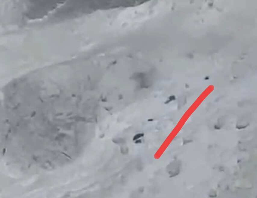 black figures in the snow