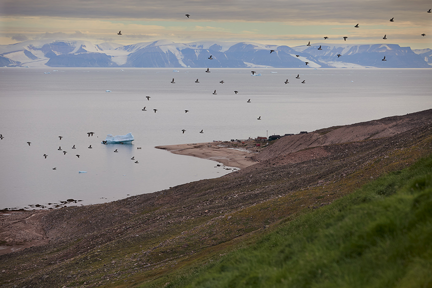 What Happened to the Japanese Scientist Who Vanished in Greenland