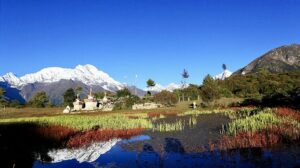 Kyirong Valley in Tibet.