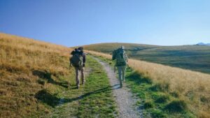 Adam Weymouth follows the route of a lone wolk walking across Europe. Here he is joined by Gaetano Pimazzoni, a wildlife photographer.