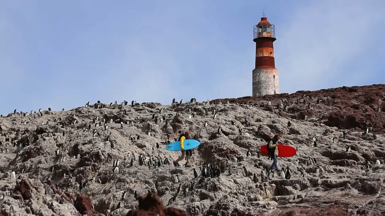 Two men with surfboards on a rocky island, covered in rock hopper penguins