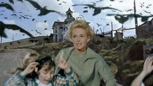 birds attacking in Hitchcock film