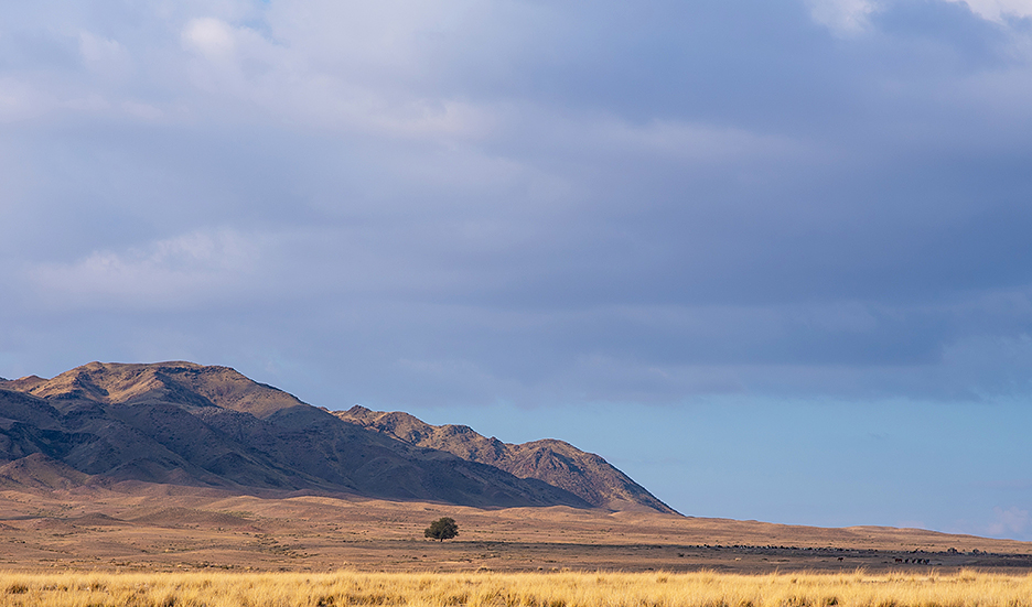 open plain with hills in background
