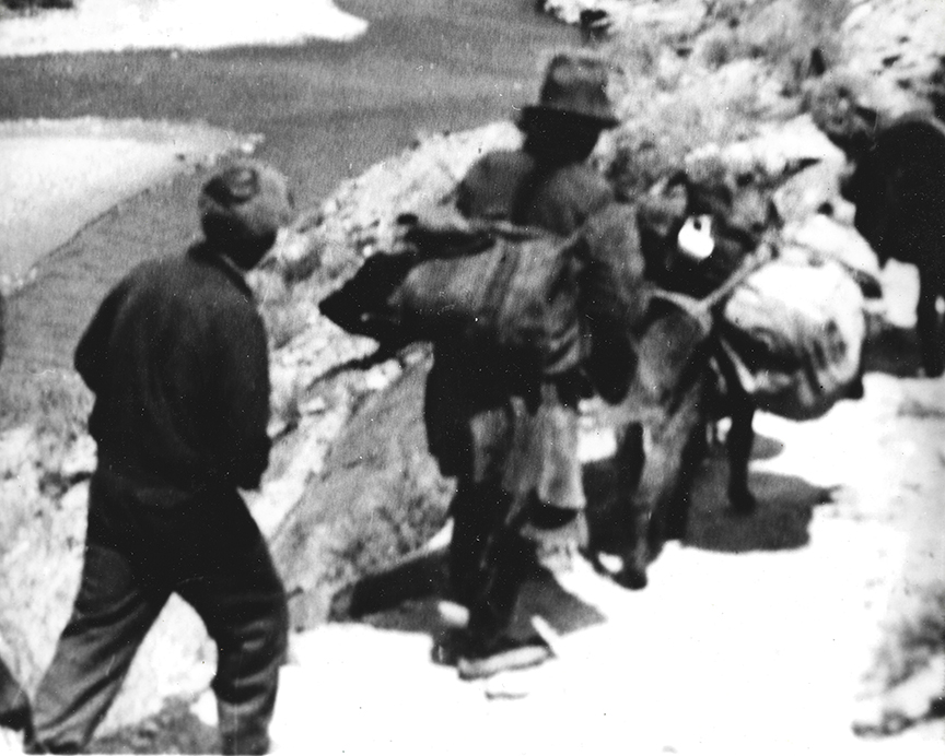 blurry bw photo of two people and yak with burden