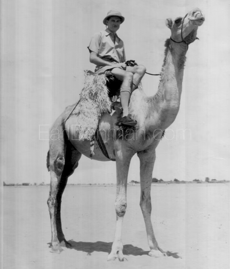 man on camel