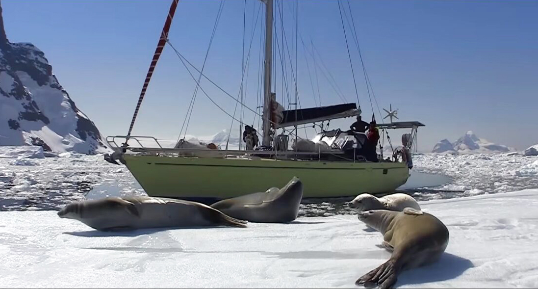A sailboat, with seal-strewn frozen beach in the foreground