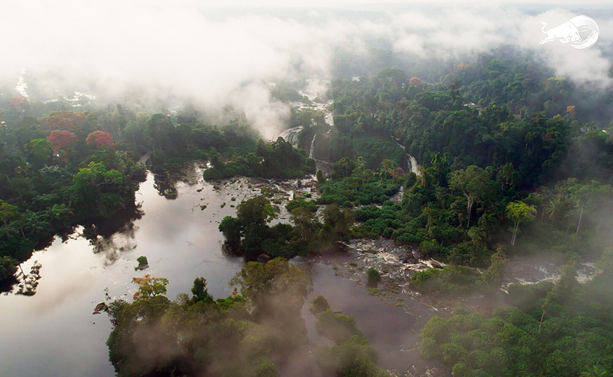misty tropical river from a drone