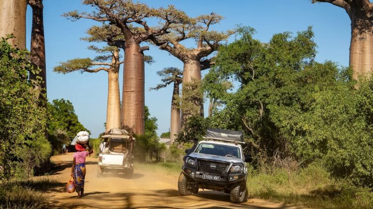 A 4x4 on a sandy road, driving through Madagascar's iconic baobab trees towards Tsingy de Bemaraha and Kirindy Reserve.