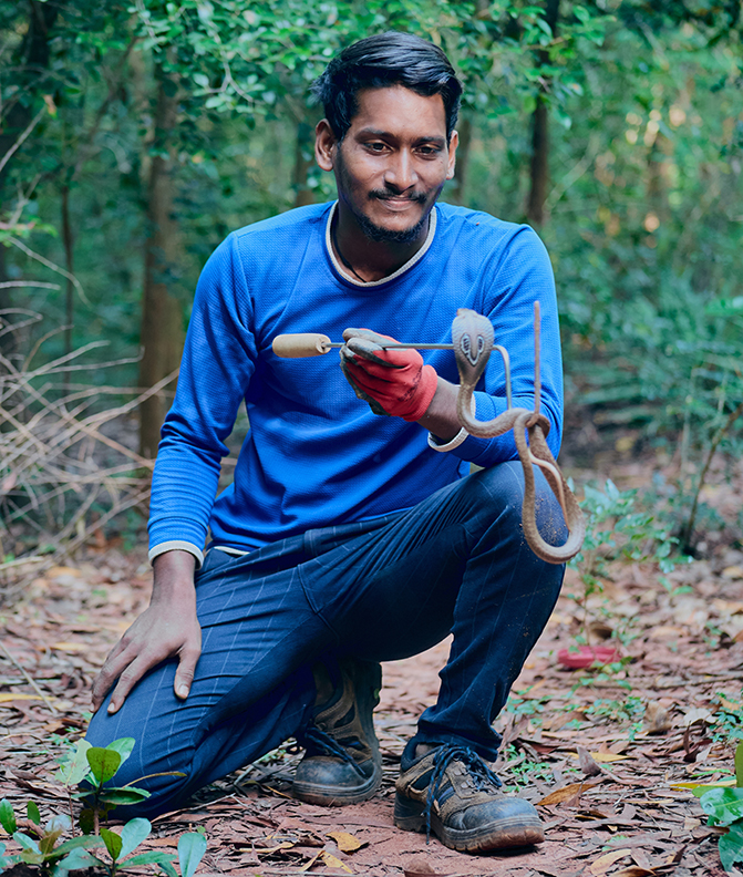 snake catcher