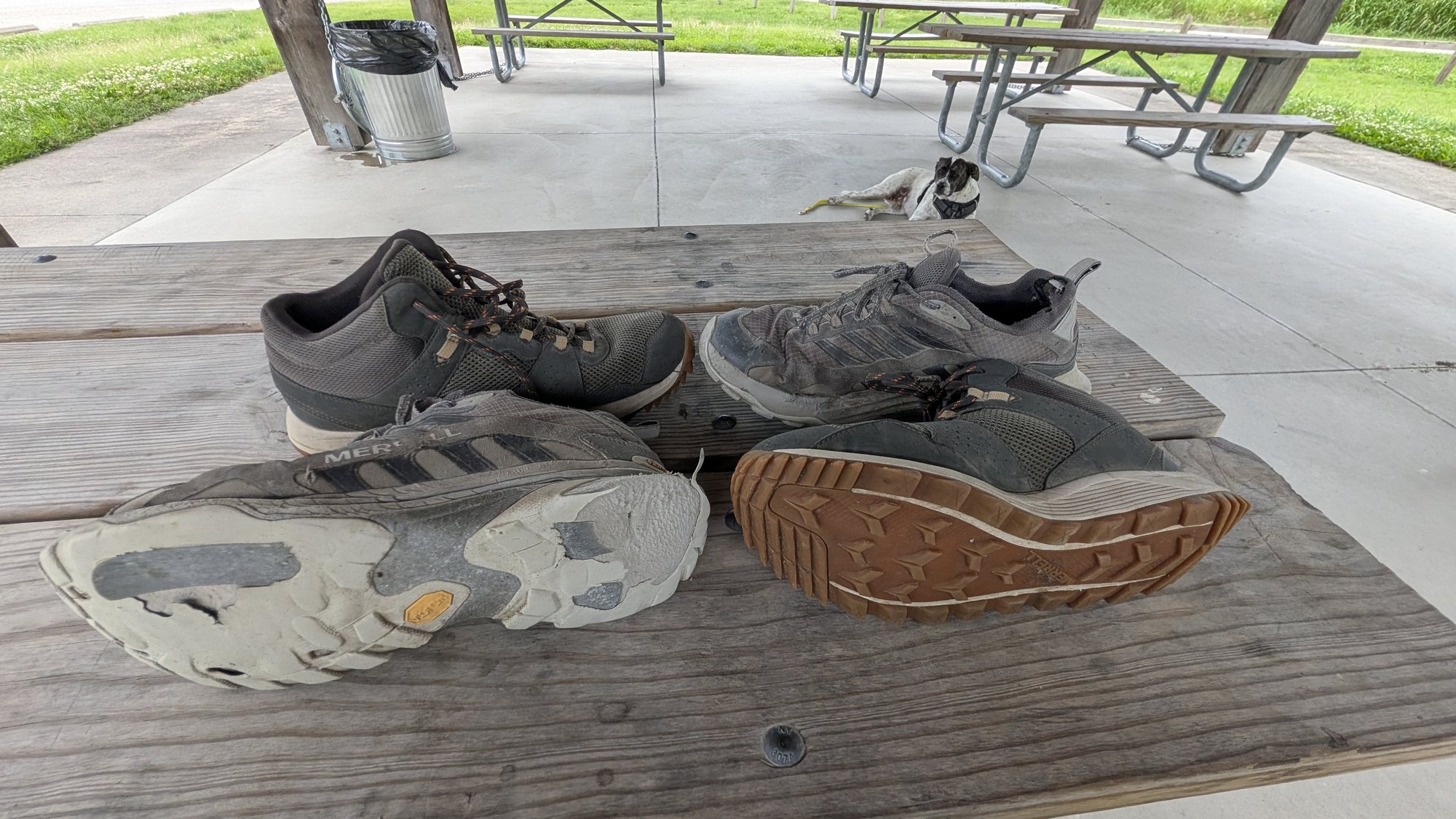 Worn shoes on a table, a dog laying in the background